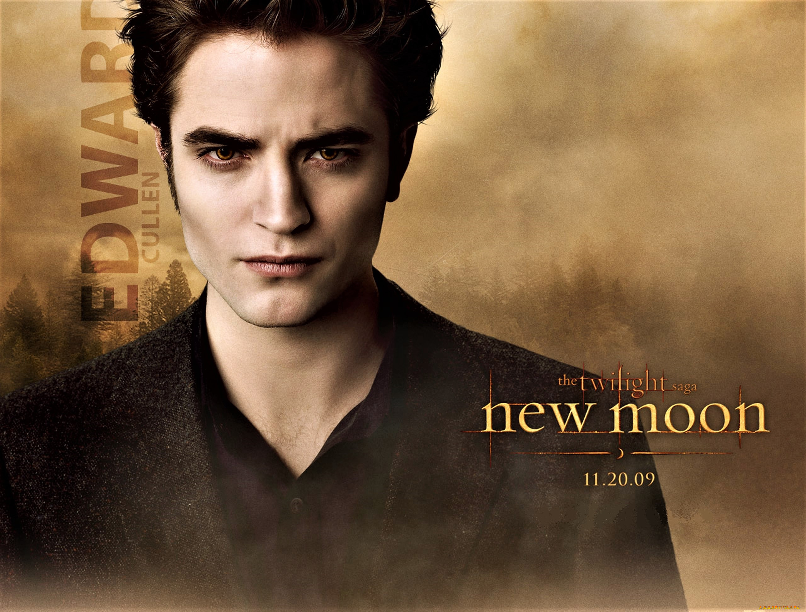  , the twilight saga,  new moon, , 